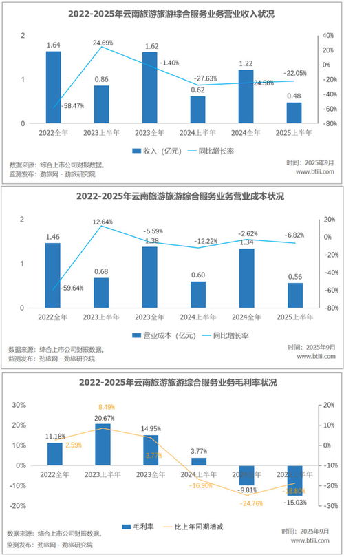 勁旅銳評 云南旅游旗下深圳華僑城文化旅游科技集團2025年上半年收入分析——聚焦住宿服務